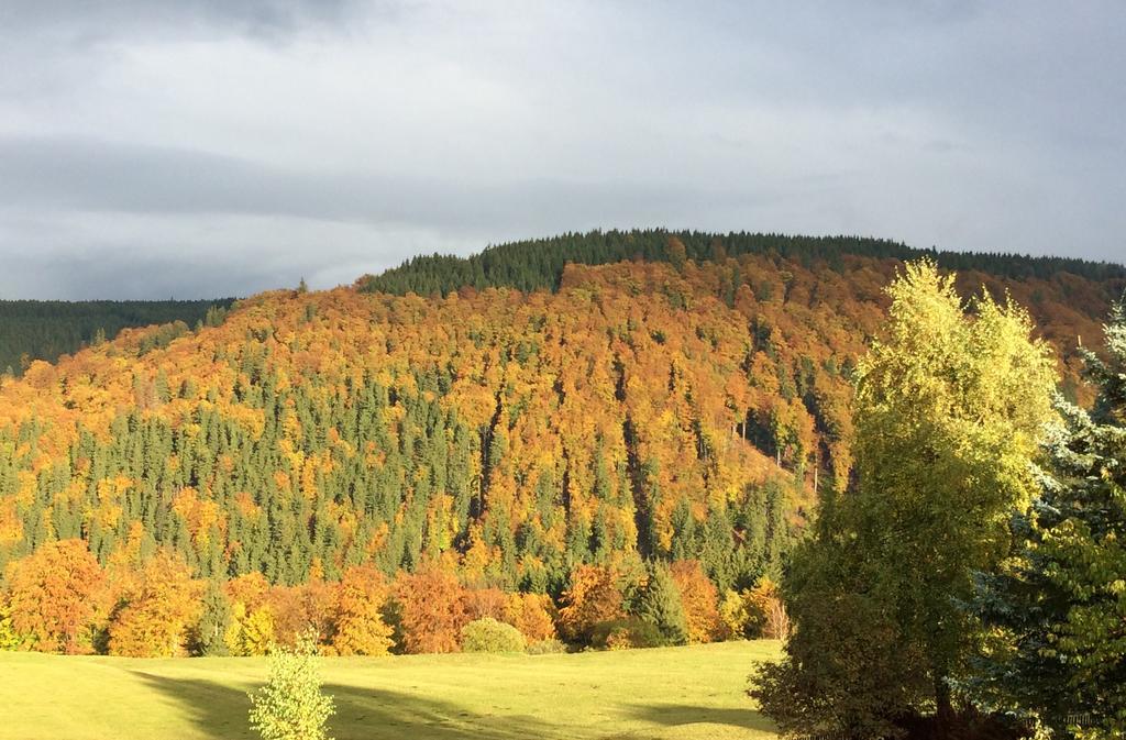 Ferienwohnungen Gehlberg Екстер'єр фото